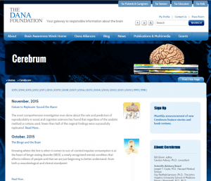 Cerebrum